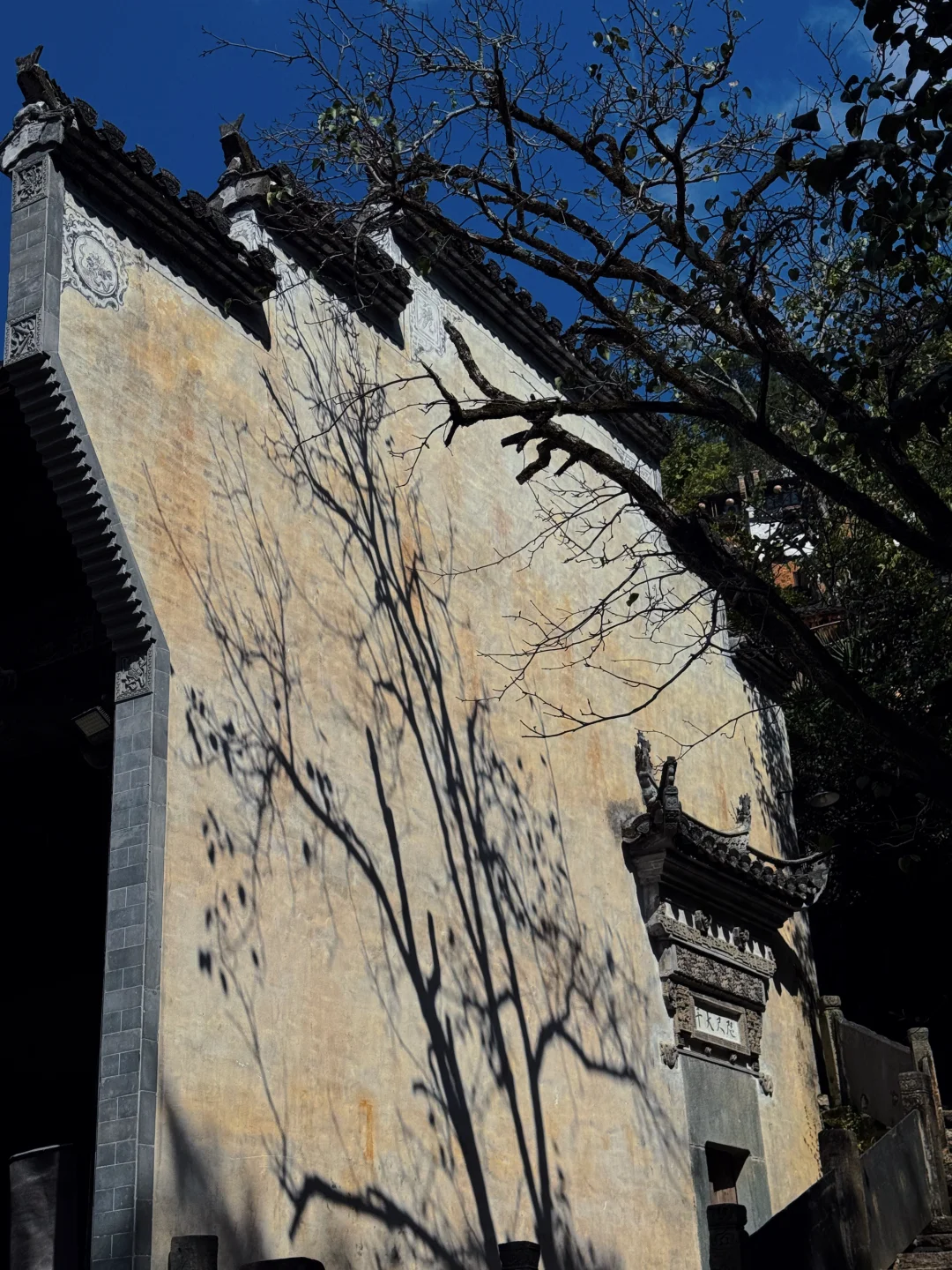 自驾冲篁岭太香了！露营看星空绝了