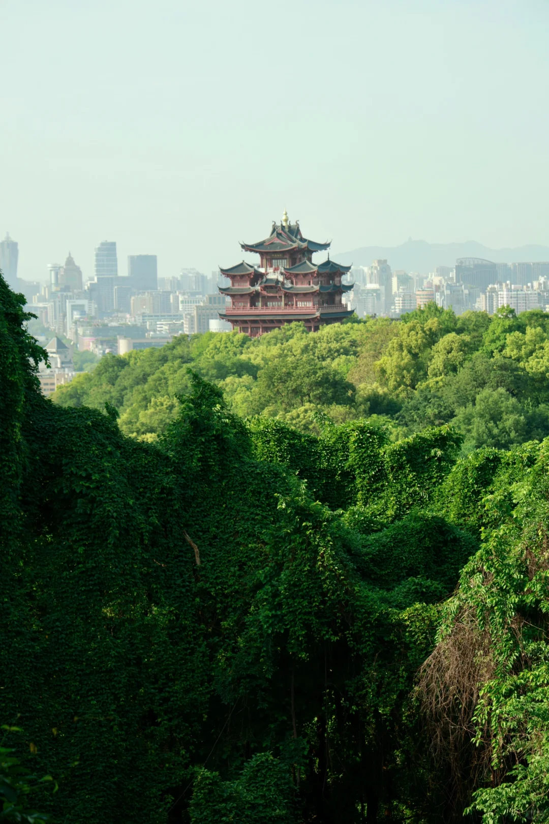 杭州最美的地方并不在西湖