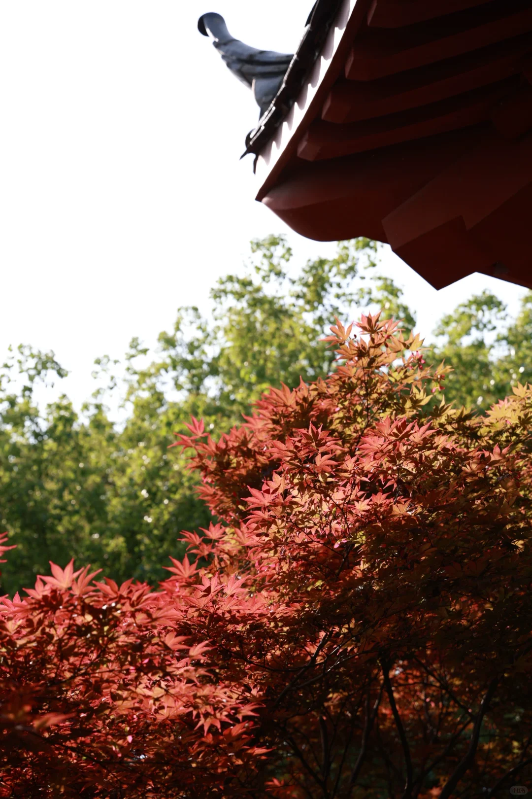 杭州最美的地方并不在西湖