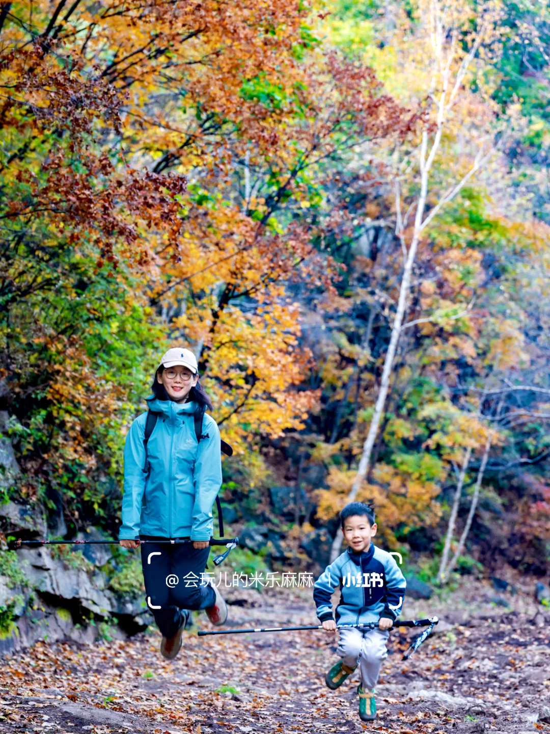 北京这座山已层林尽染🍁关键还没啥人