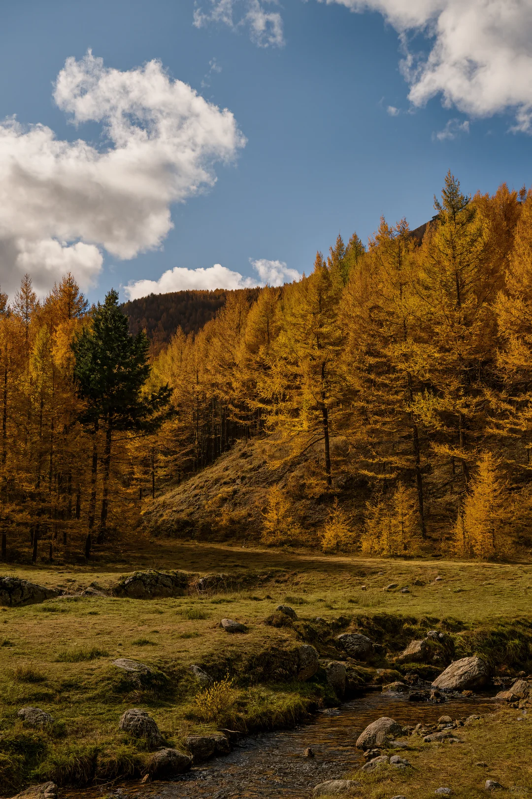 北京周边2h直达！秋天必须去的宝藏秘境