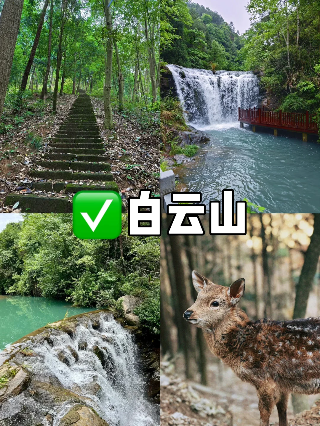 丽水必打卡景点推荐