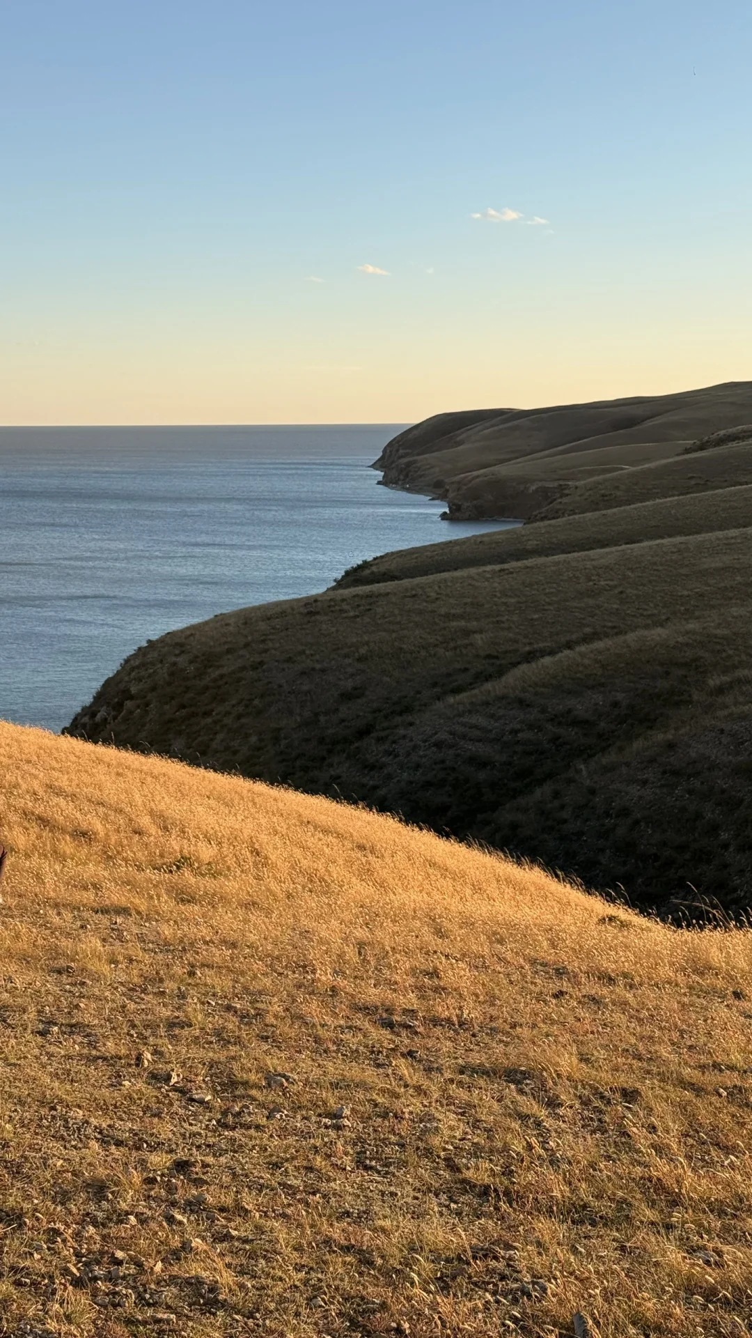 妈妈 人生是旷野~