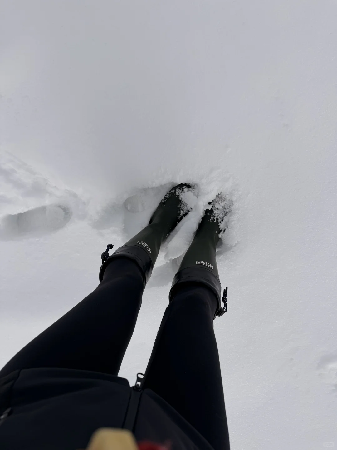 live丨终于来到了阿勒泰