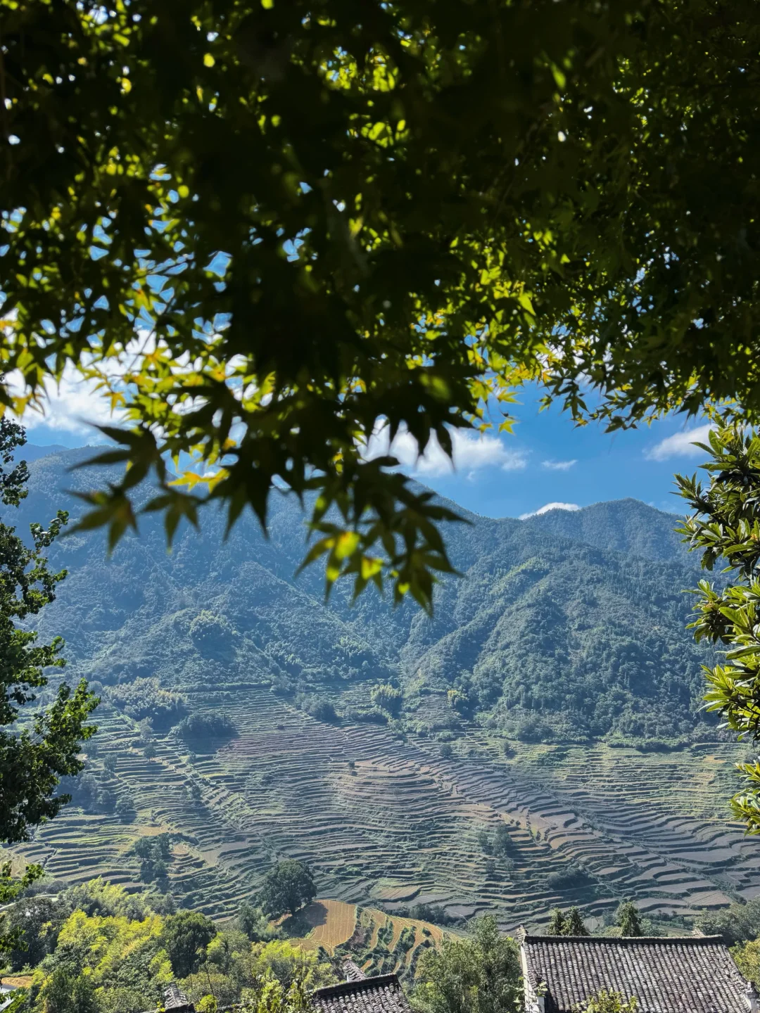 自驾冲篁岭太香了！露营看星空绝了