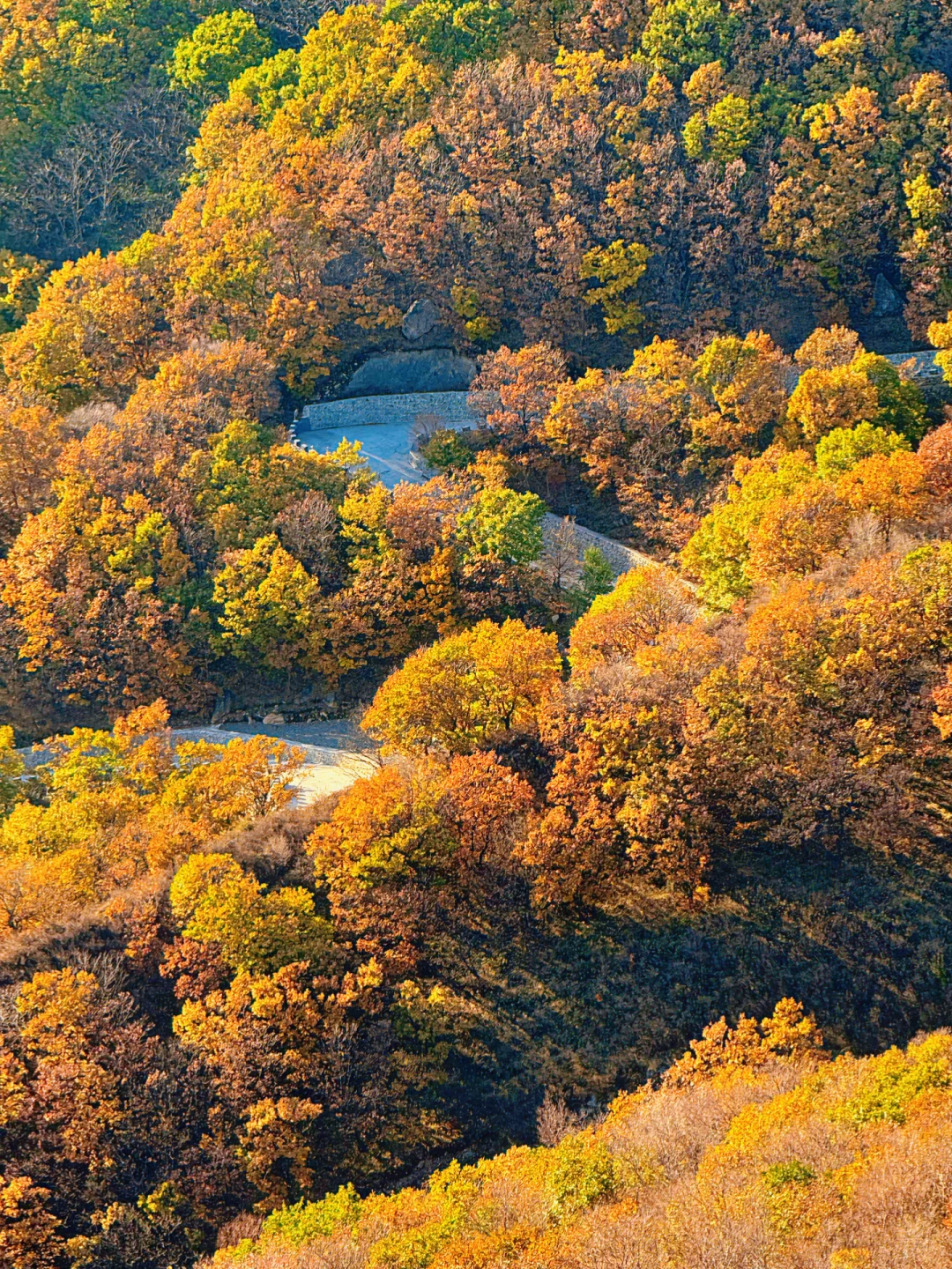 百瑞谷｜漫步在山川的调色盘里🎨在油画里❗️