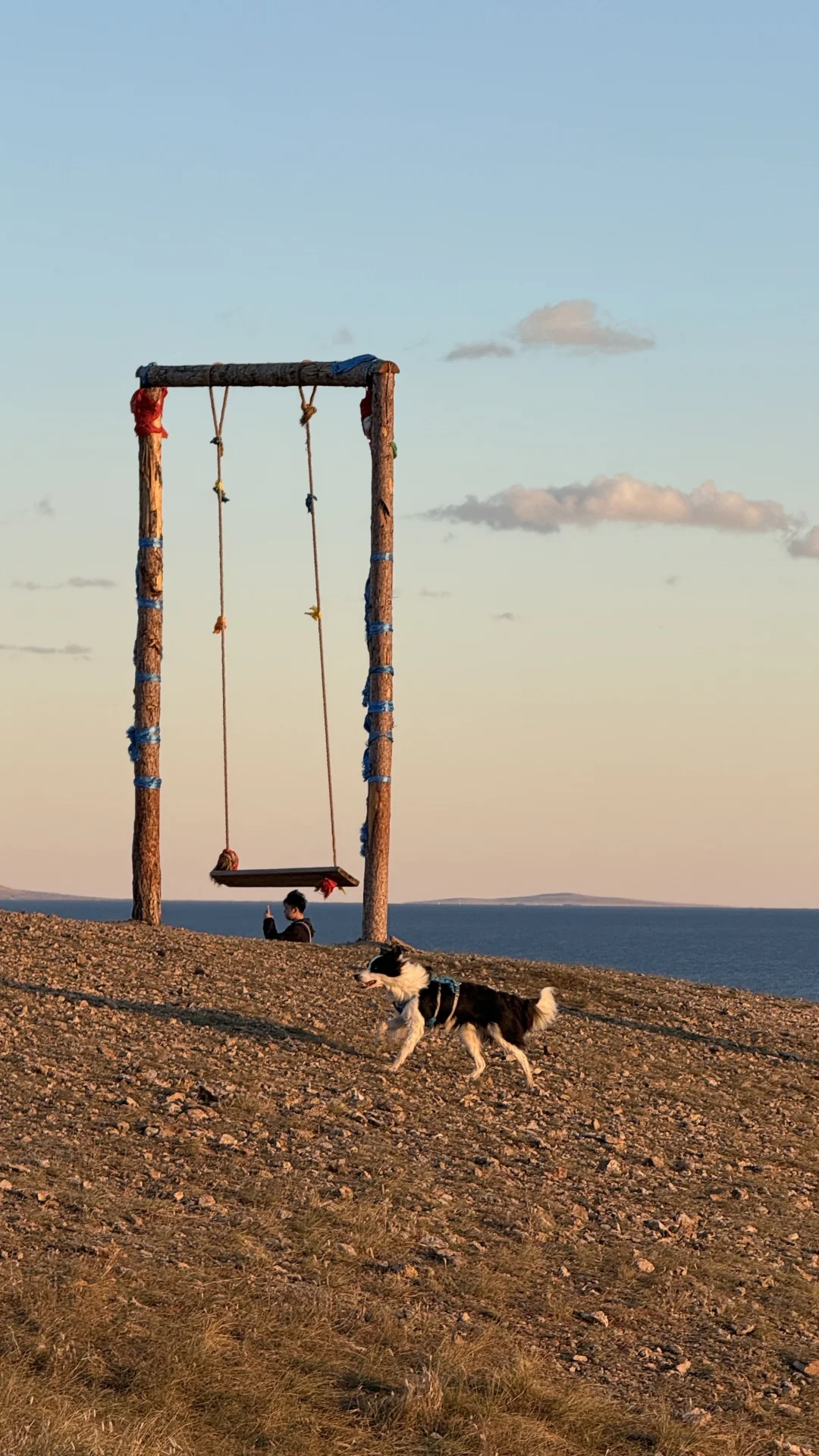 妈妈 人生是旷野~