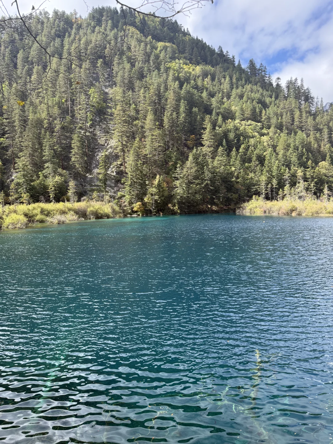 九寨沟不拥挤版超级详细攻略(10.22实况)