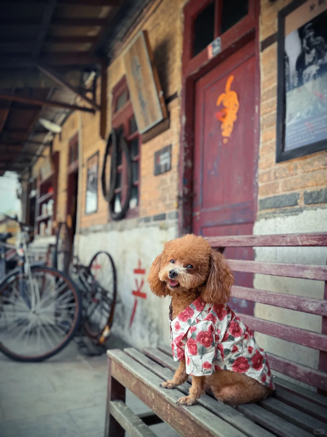 朱砂古镇/仿佛穿越到六七十年代！