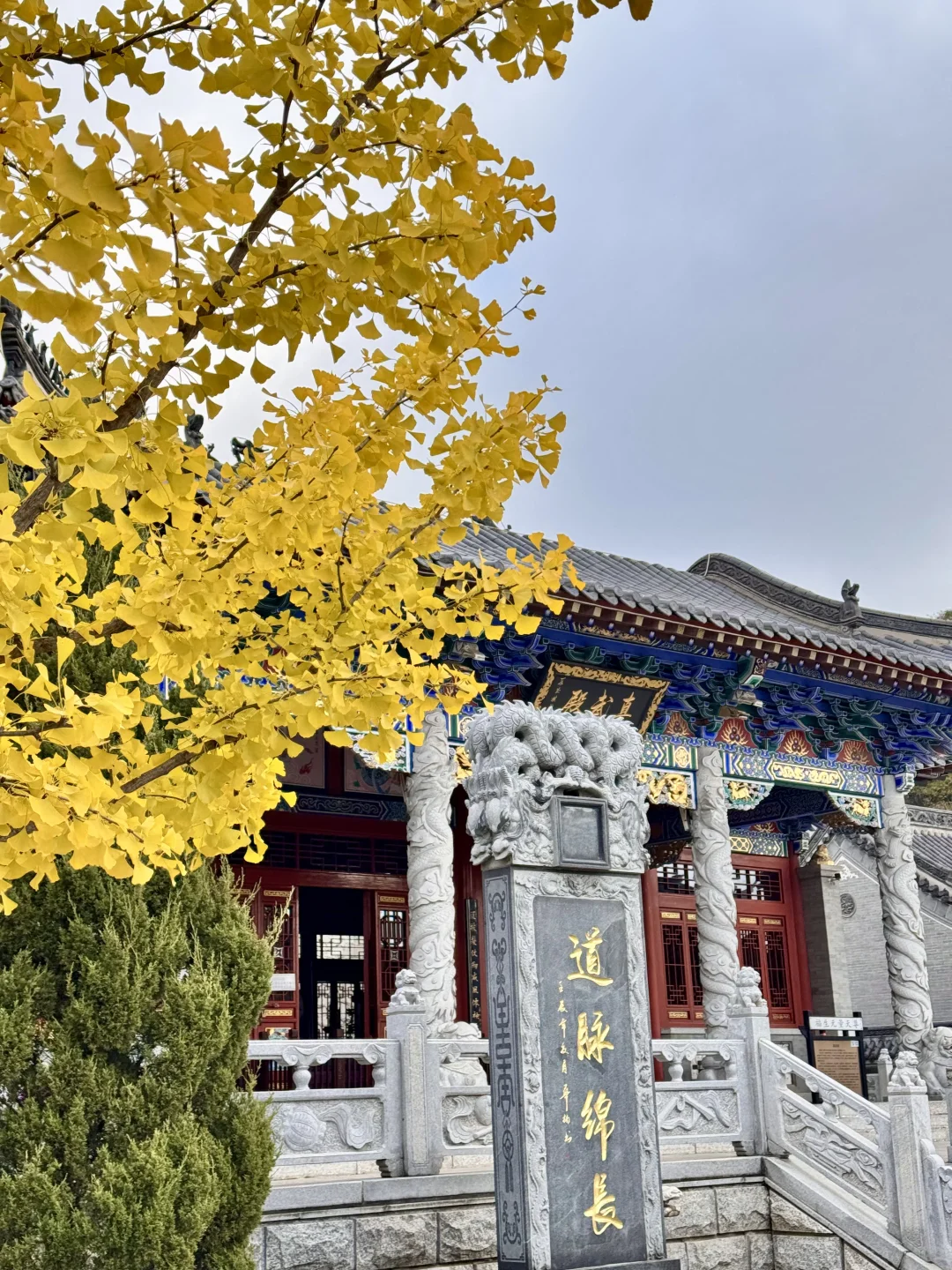 吉林市丨玄帝观的银杏黄了！快去拍！