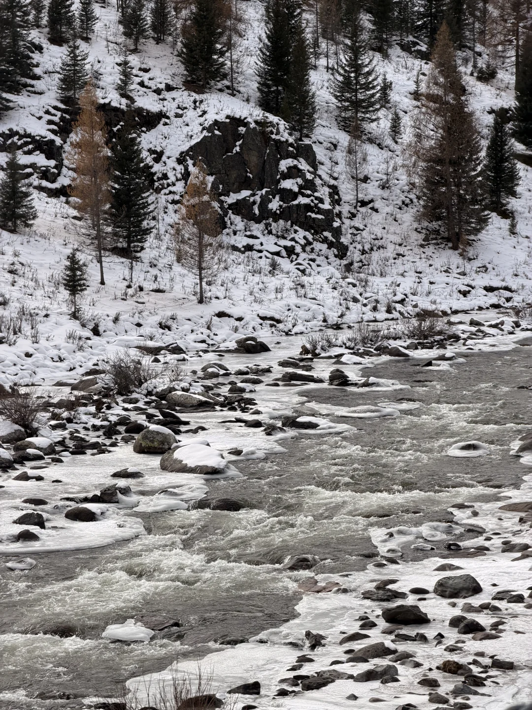 live丨终于来到了阿勒泰