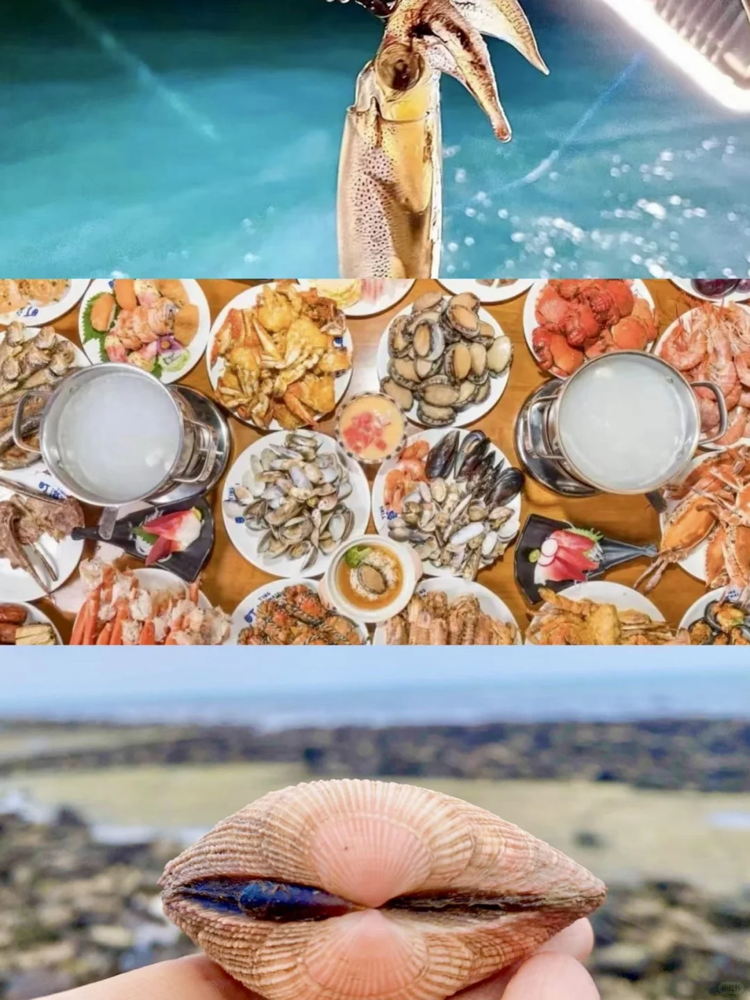 广东人免fei登岛‼️涠洲岛省💰玩法大全🐳