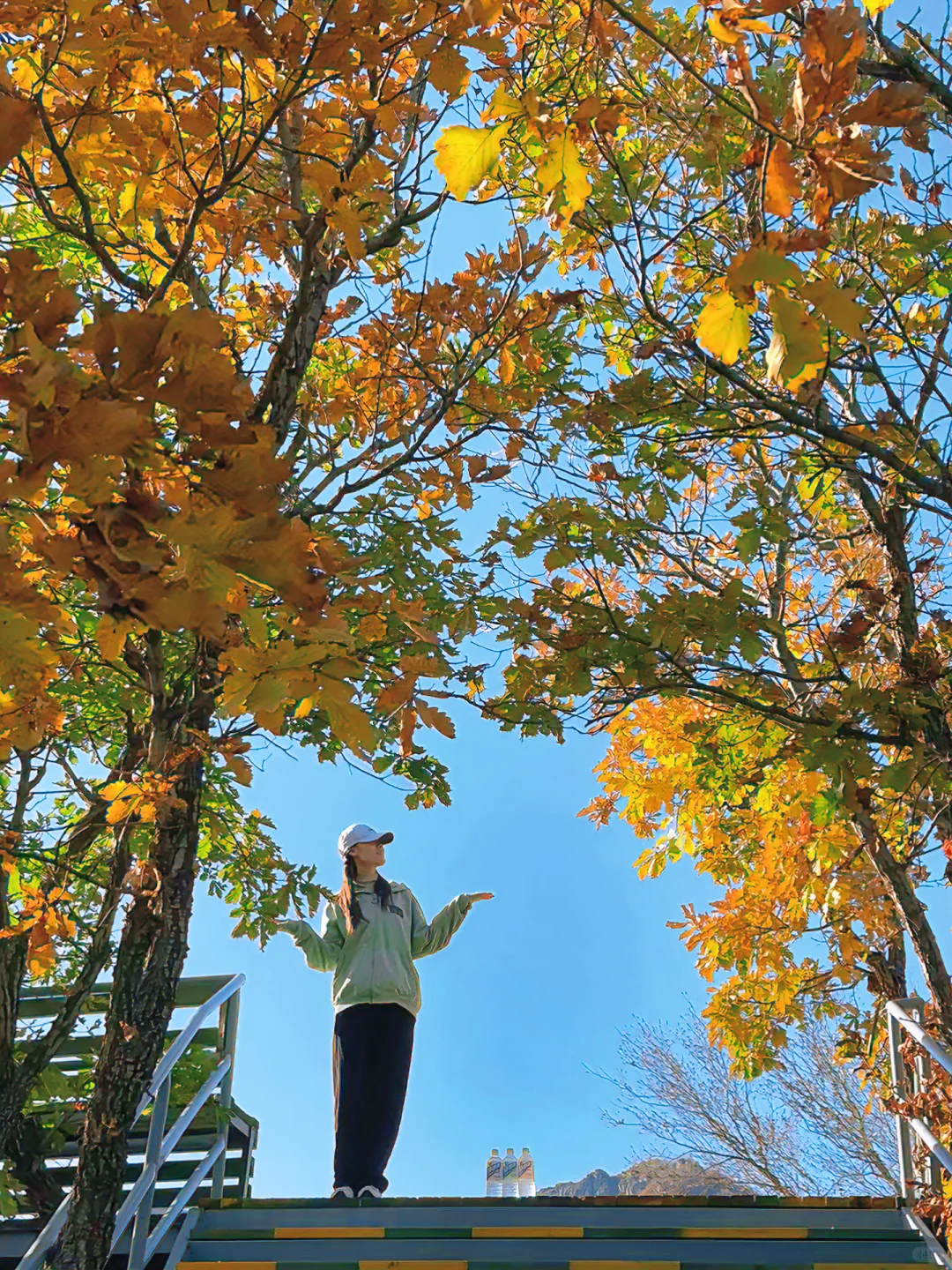 百瑞谷｜漫步在山川的调色盘里🎨在油画里❗️