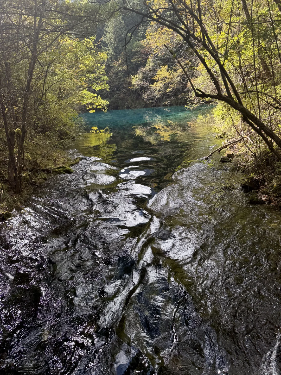 九寨沟不拥挤版超级详细攻略(10.22实况)