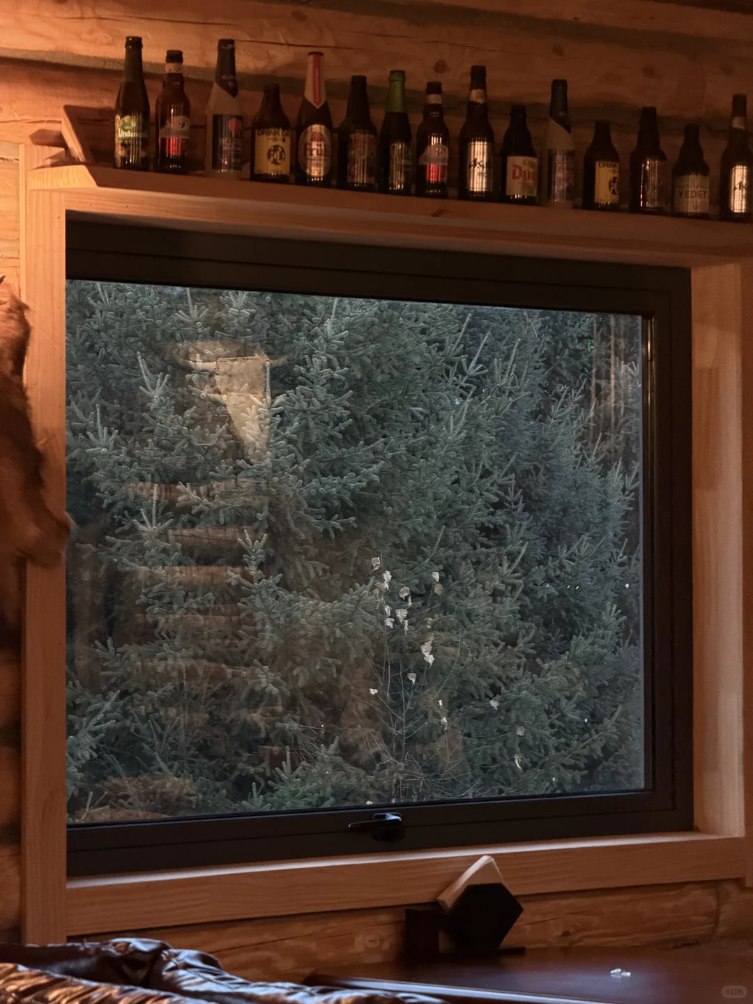 live丨终于来到了阿勒泰