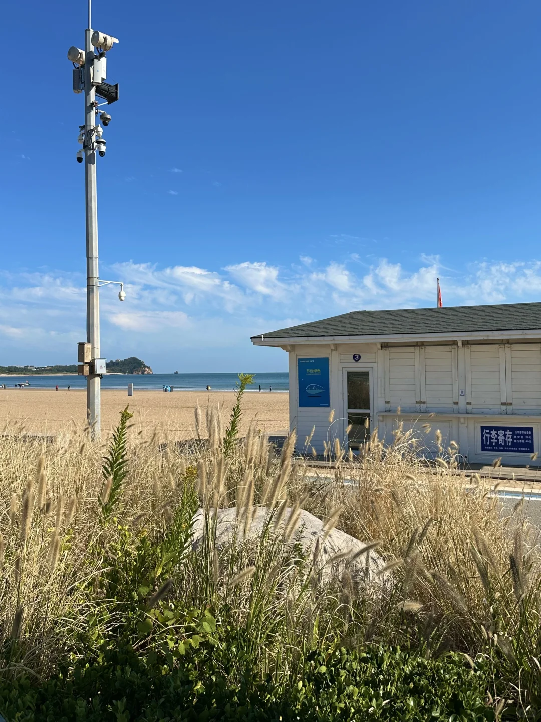 秋天🍂来青岛一定要做的1️⃣0️⃣件小事！！！！