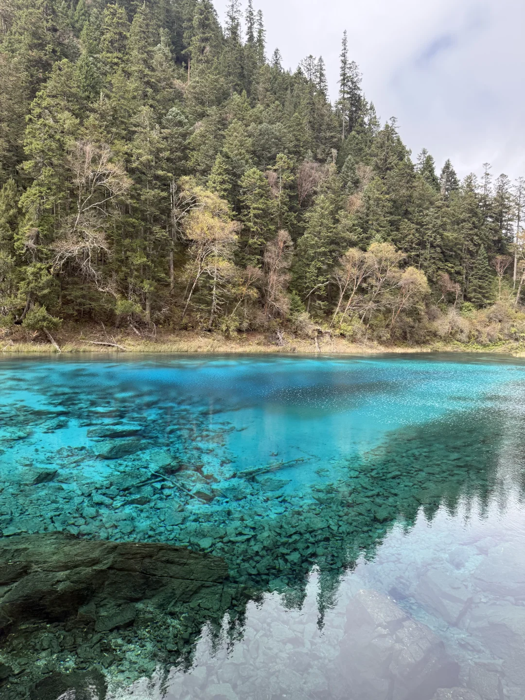 九寨沟不拥挤版超级详细攻略(10.22实况)