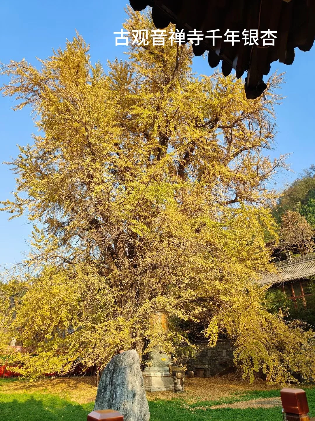 西安上学没课可以去哪玩呀