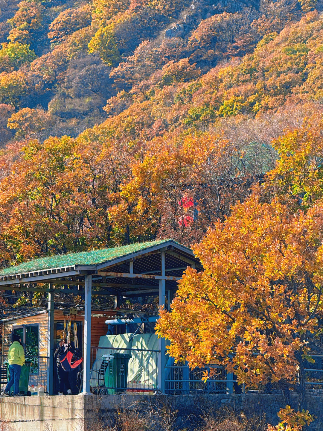 百瑞谷｜漫步在山川的调色盘里🎨在油画里❗️