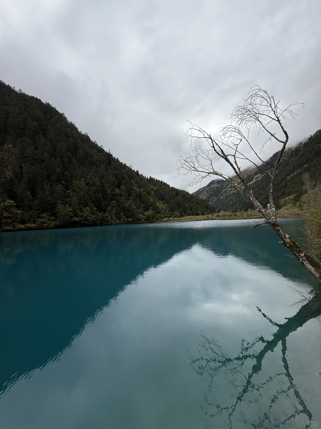 九寨沟不拥挤版超级详细攻略(10.22实况)