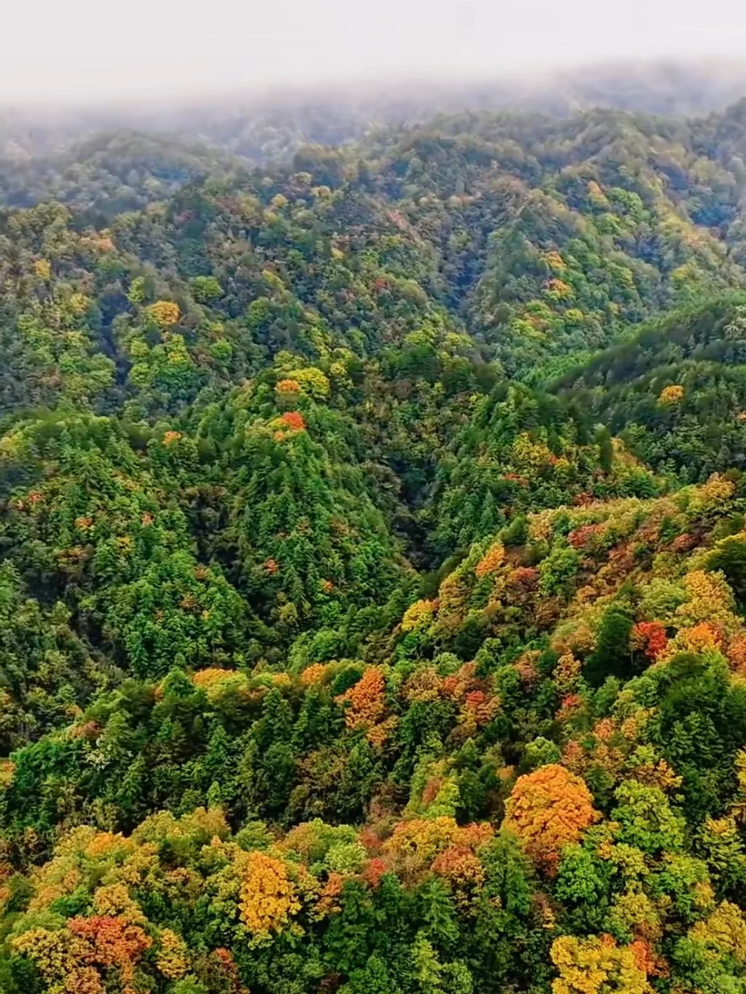 西安周边|不愧陕南小九寨❗低估赏秋天花板