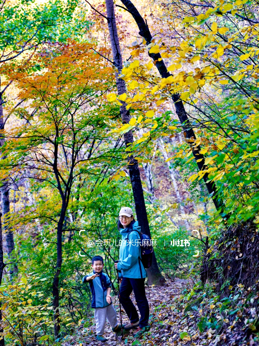 北京这座山已层林尽染🍁关键还没啥人