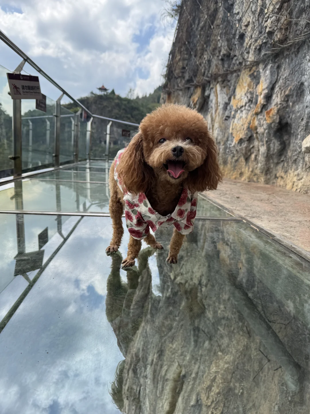 朱砂古镇/仿佛穿越到六七十年代！