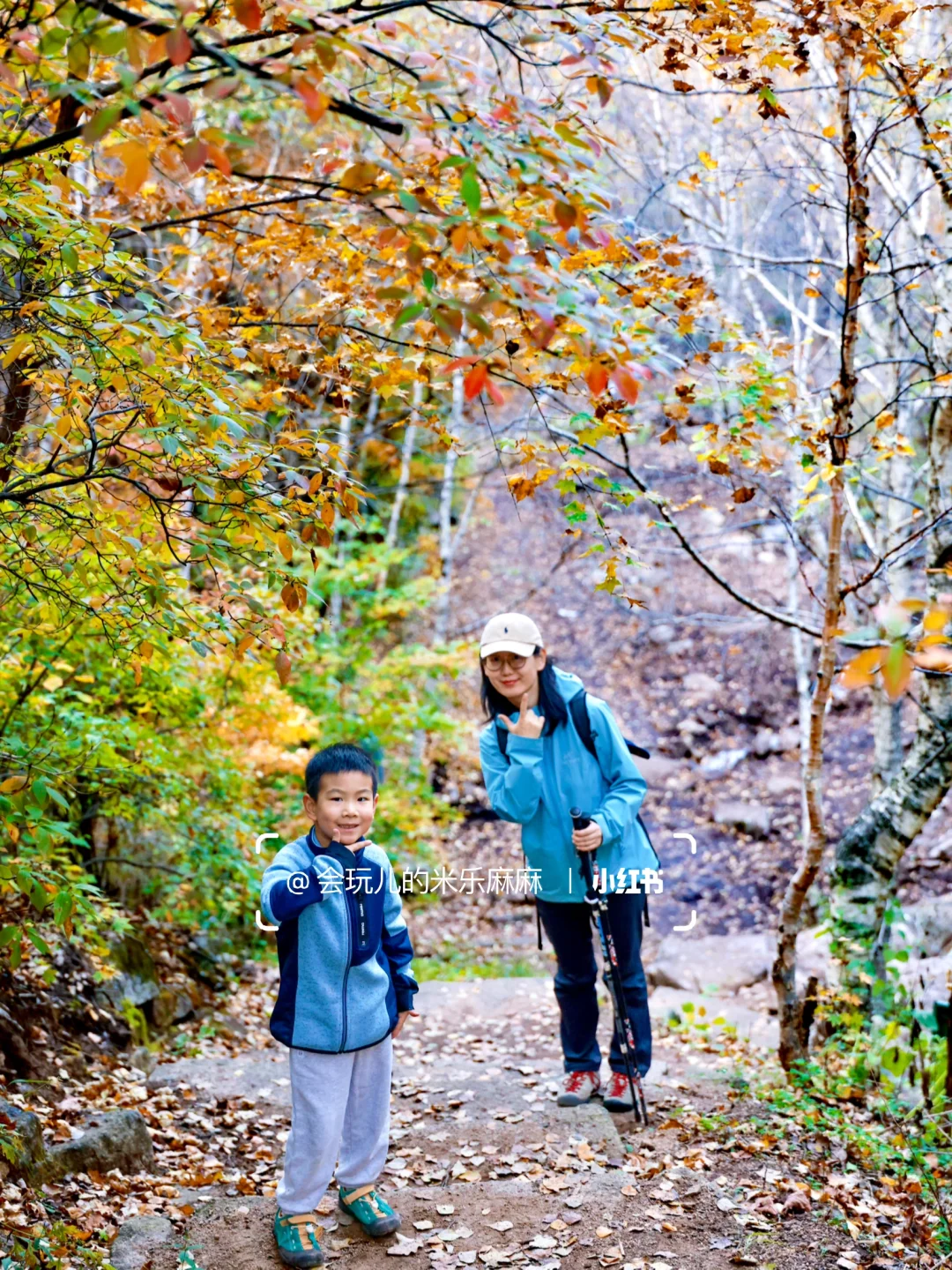 北京这座山已层林尽染🍁关键还没啥人