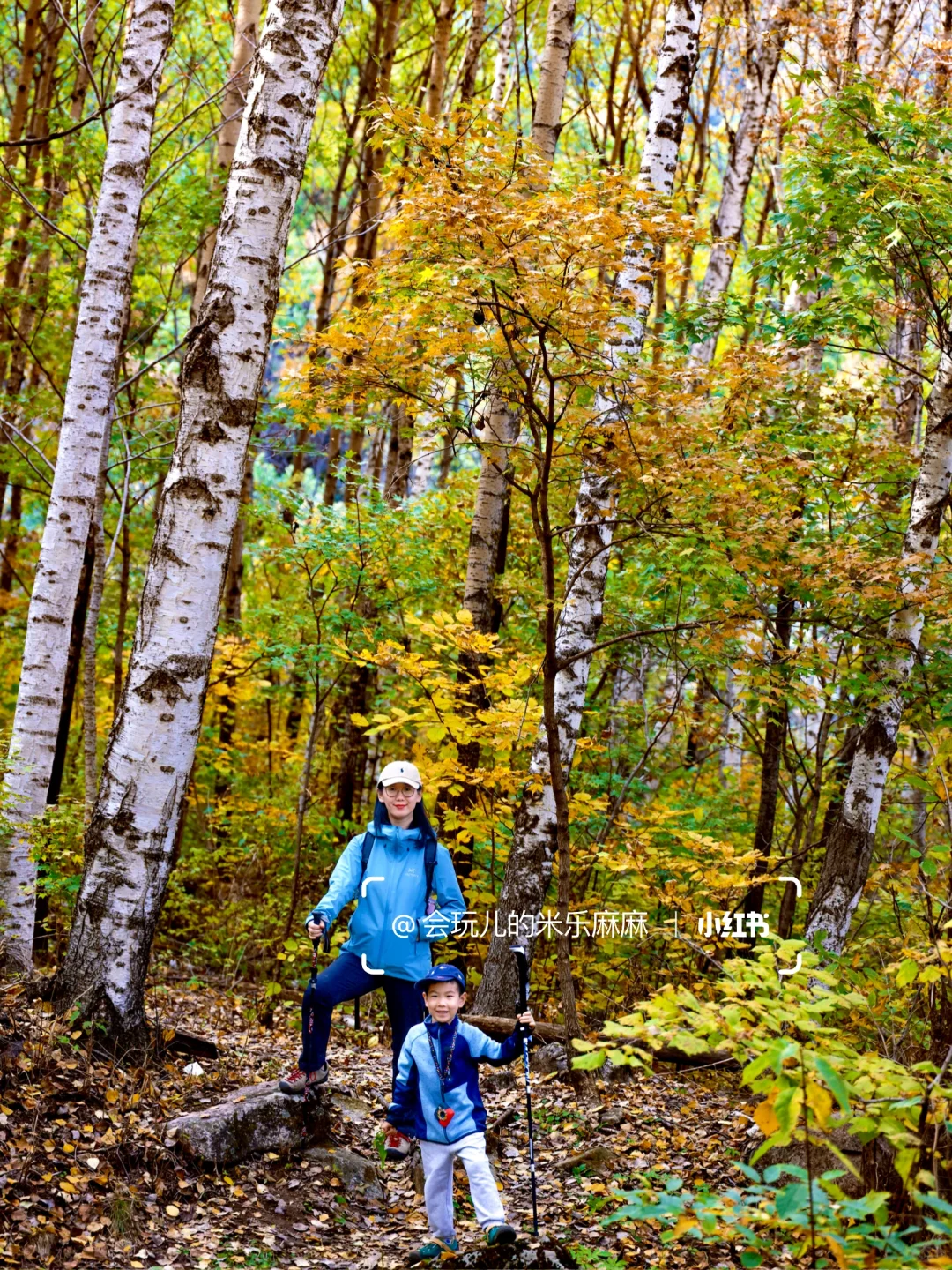 北京这座山已层林尽染🍁关键还没啥人