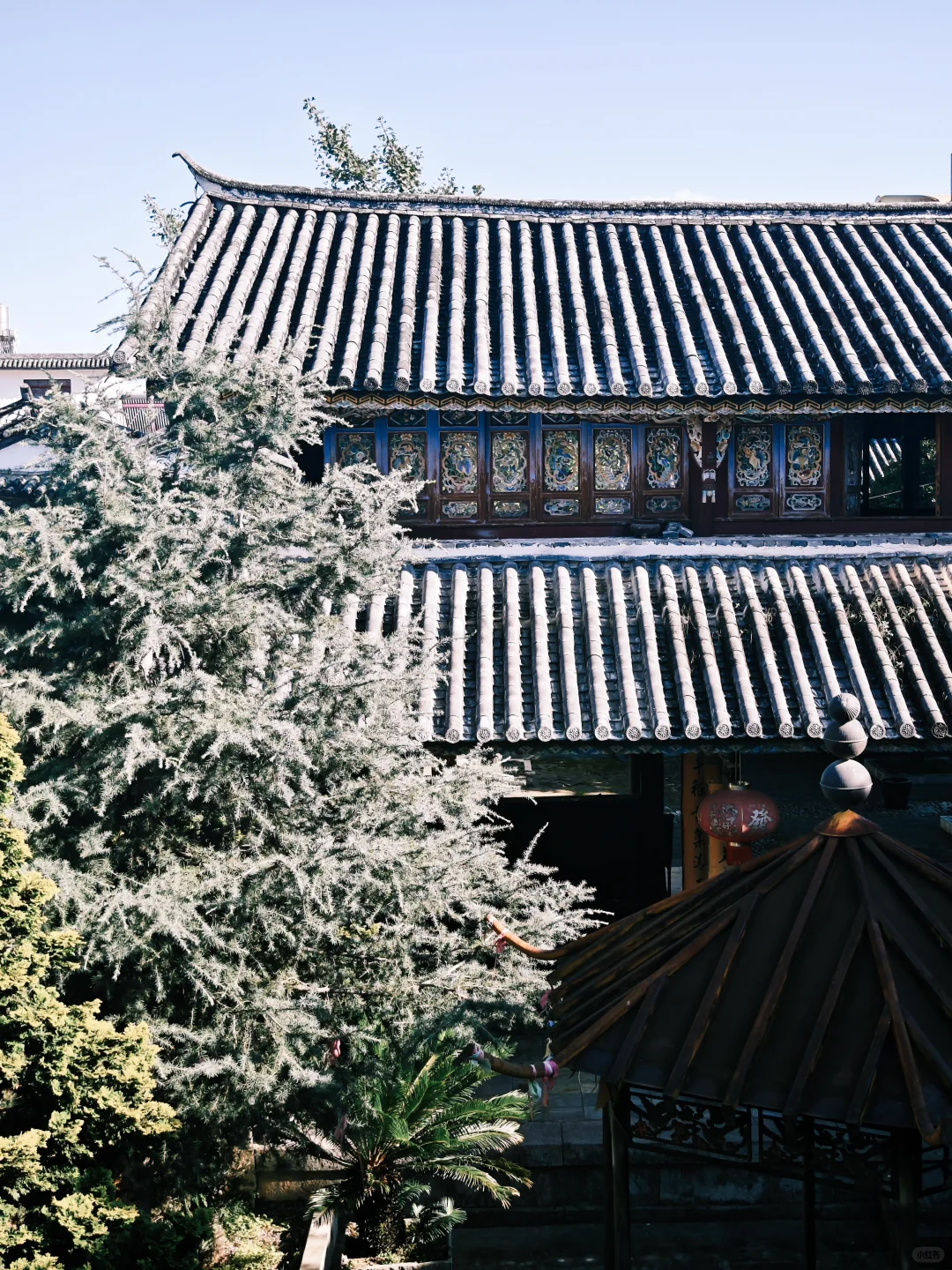 太喜欢大理这个不为人知的明代古寺了！！！