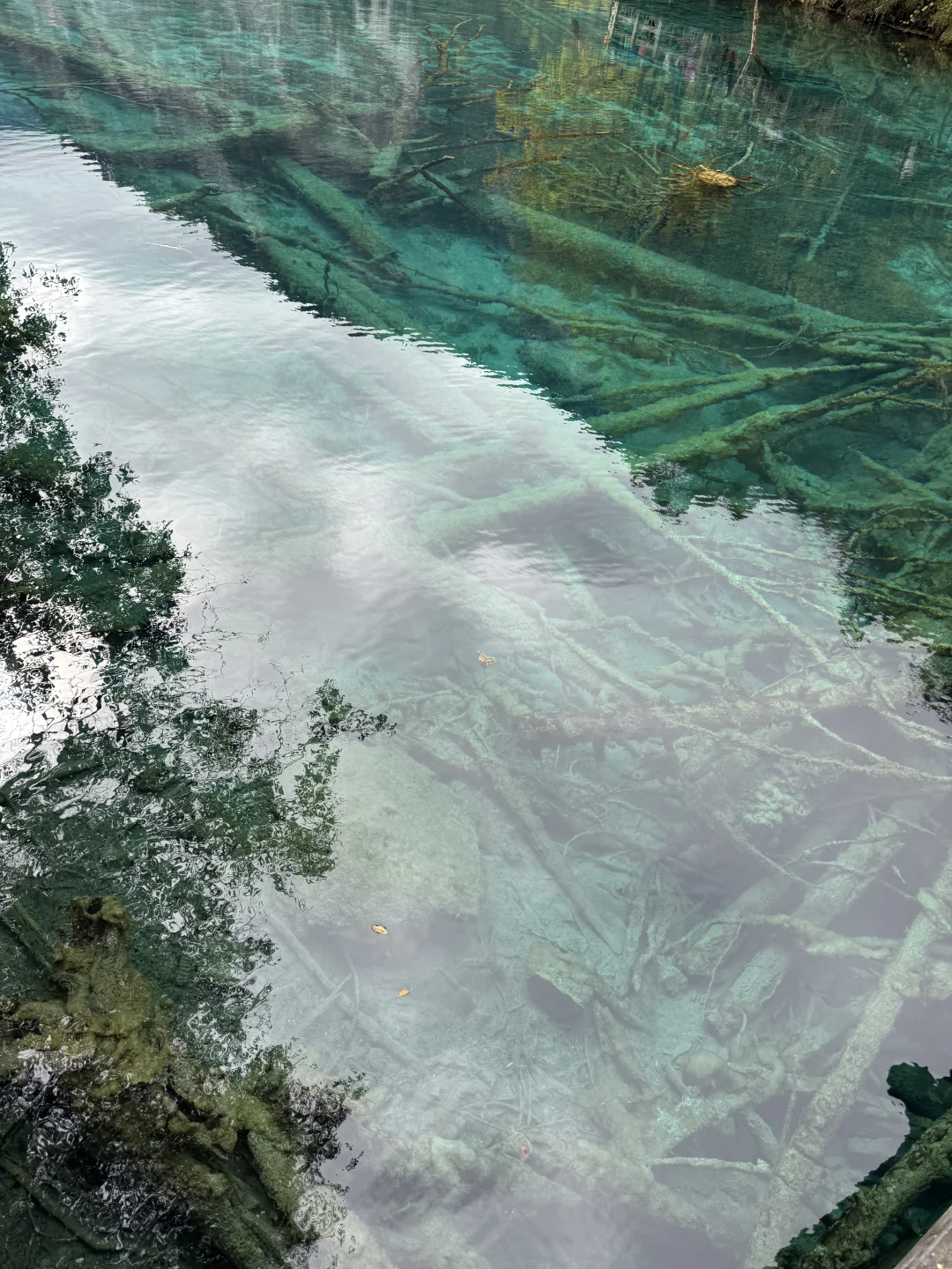 九寨沟不拥挤版超级详细攻略(10.22实况)