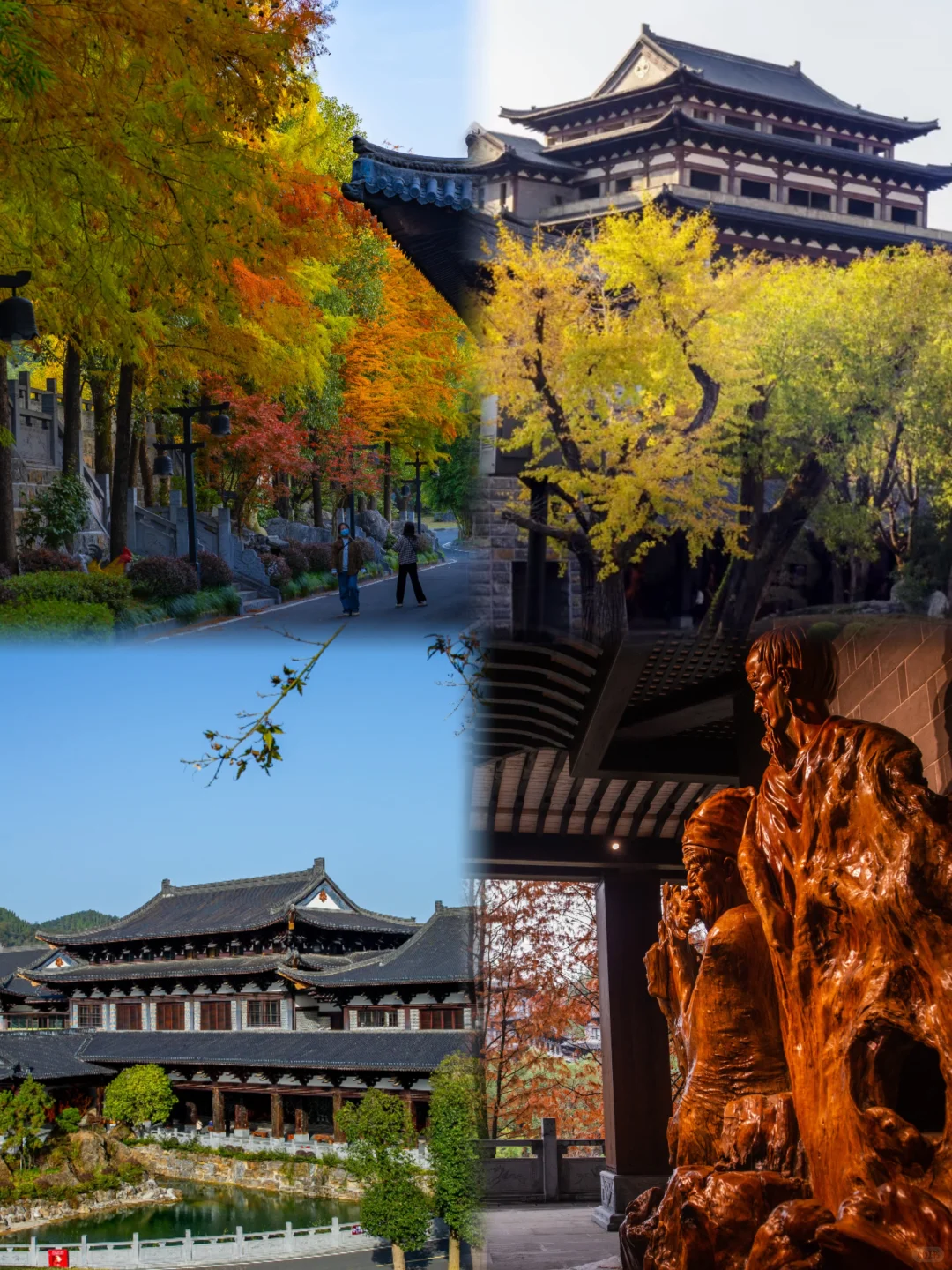 2025全球免费游衢州！11月马上出发🌿