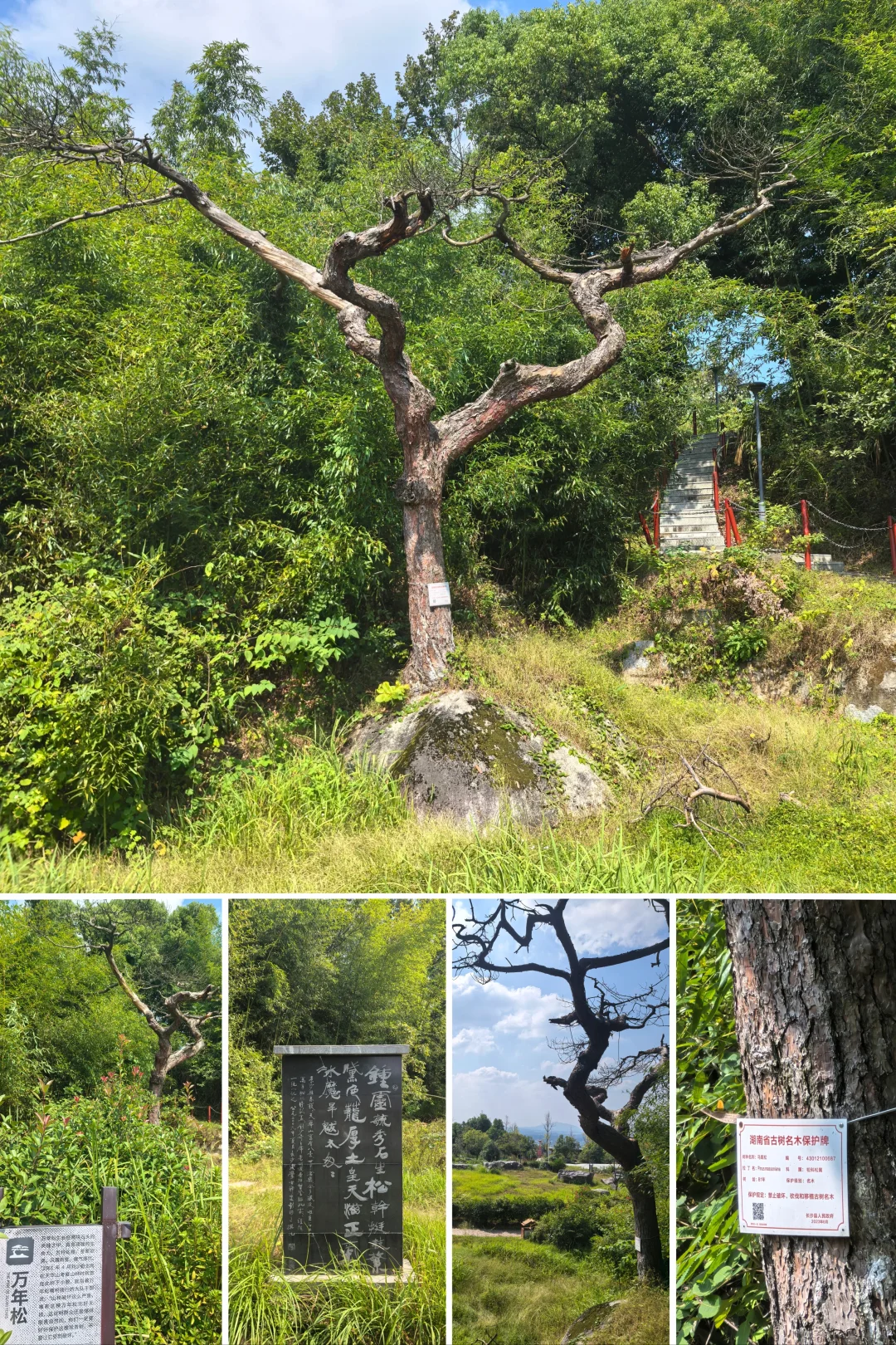 漫游天华山景区㊤：霜降时节我探寻天华八景