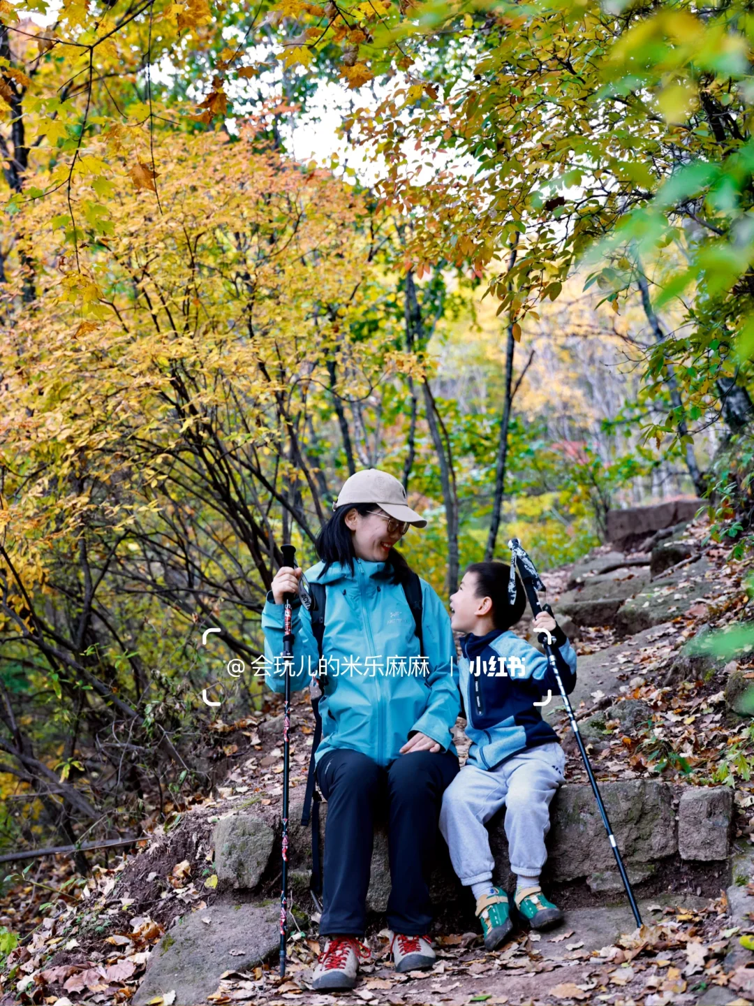 北京这座山已层林尽染🍁关键还没啥人