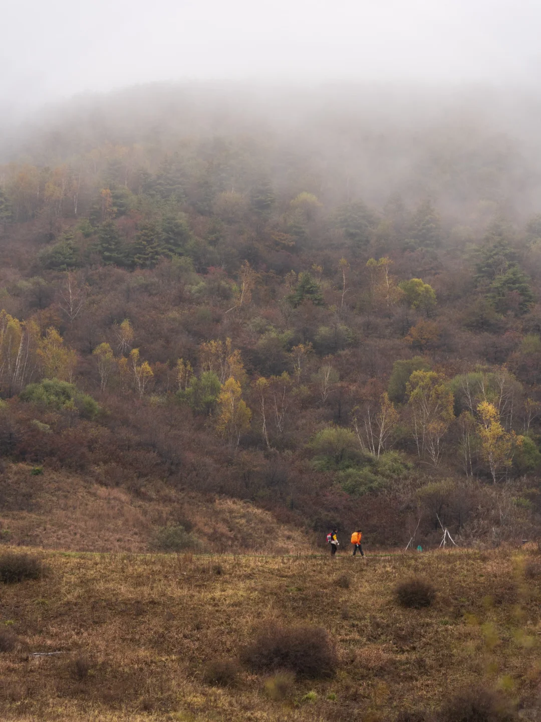 勇敢的人先享受山西的秋天🍂