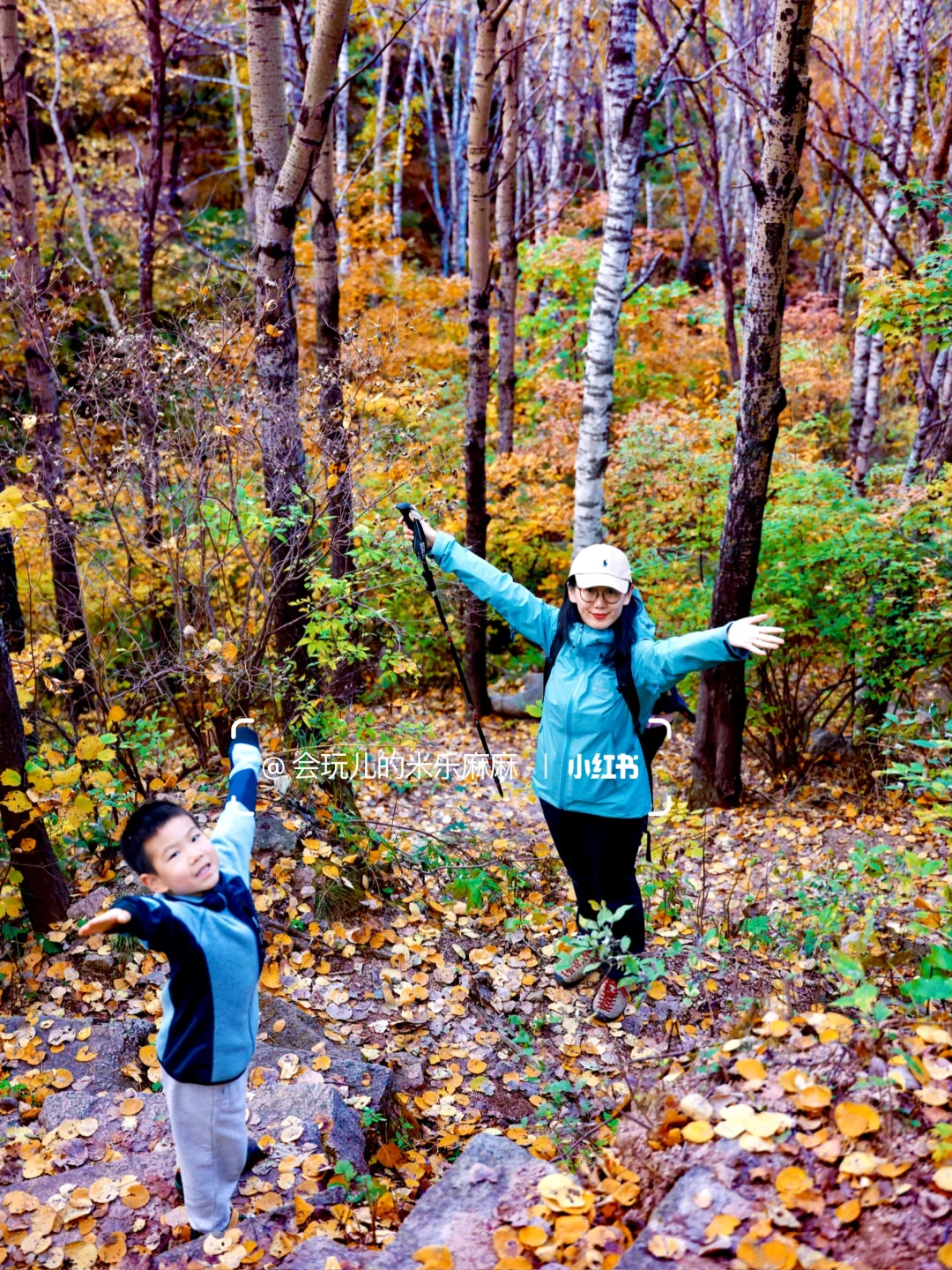 北京这座山已层林尽染🍁关键还没啥人