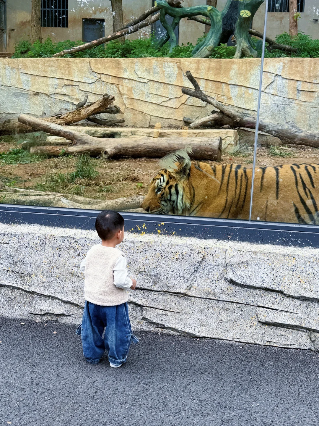 中南百草原两天一夜亲子游玩攻略