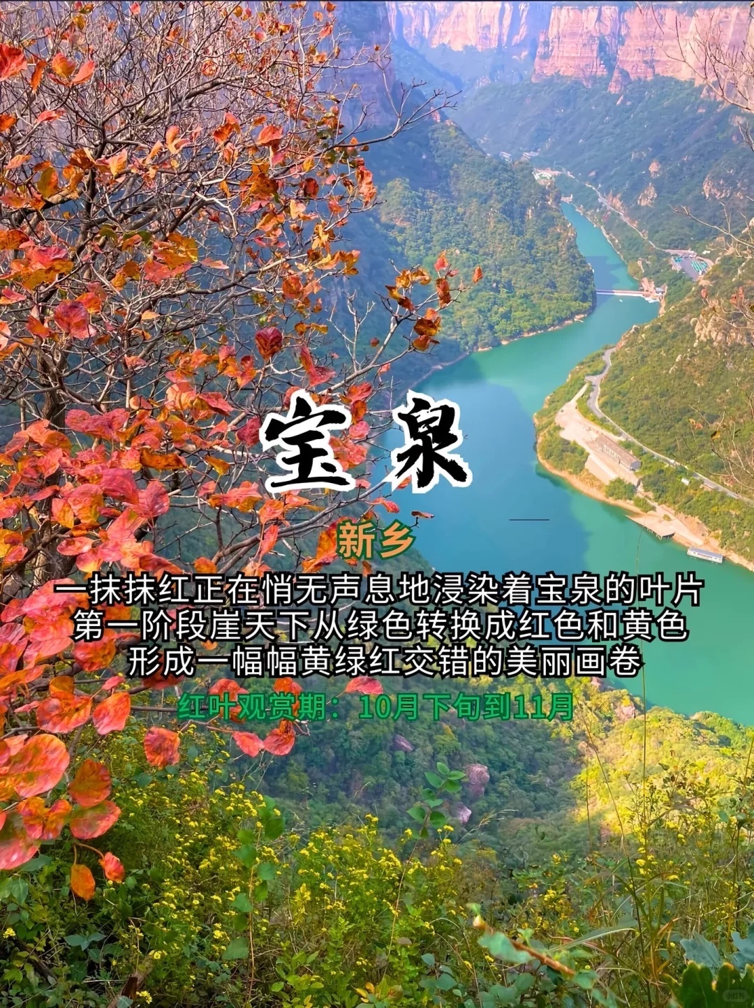 打卡！河南红叶赏秋攻略来了