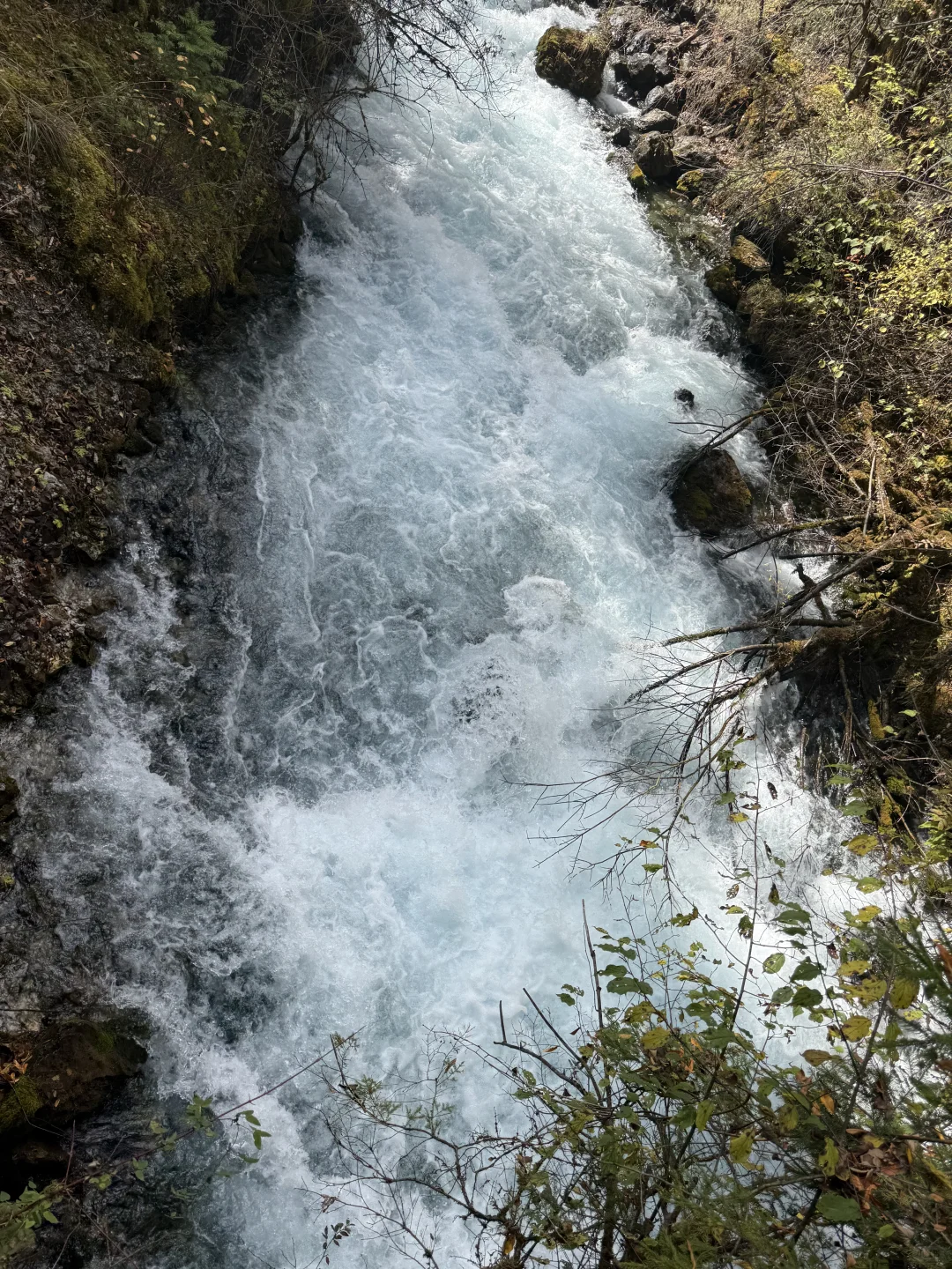 九寨沟不拥挤版超级详细攻略(10.22实况)