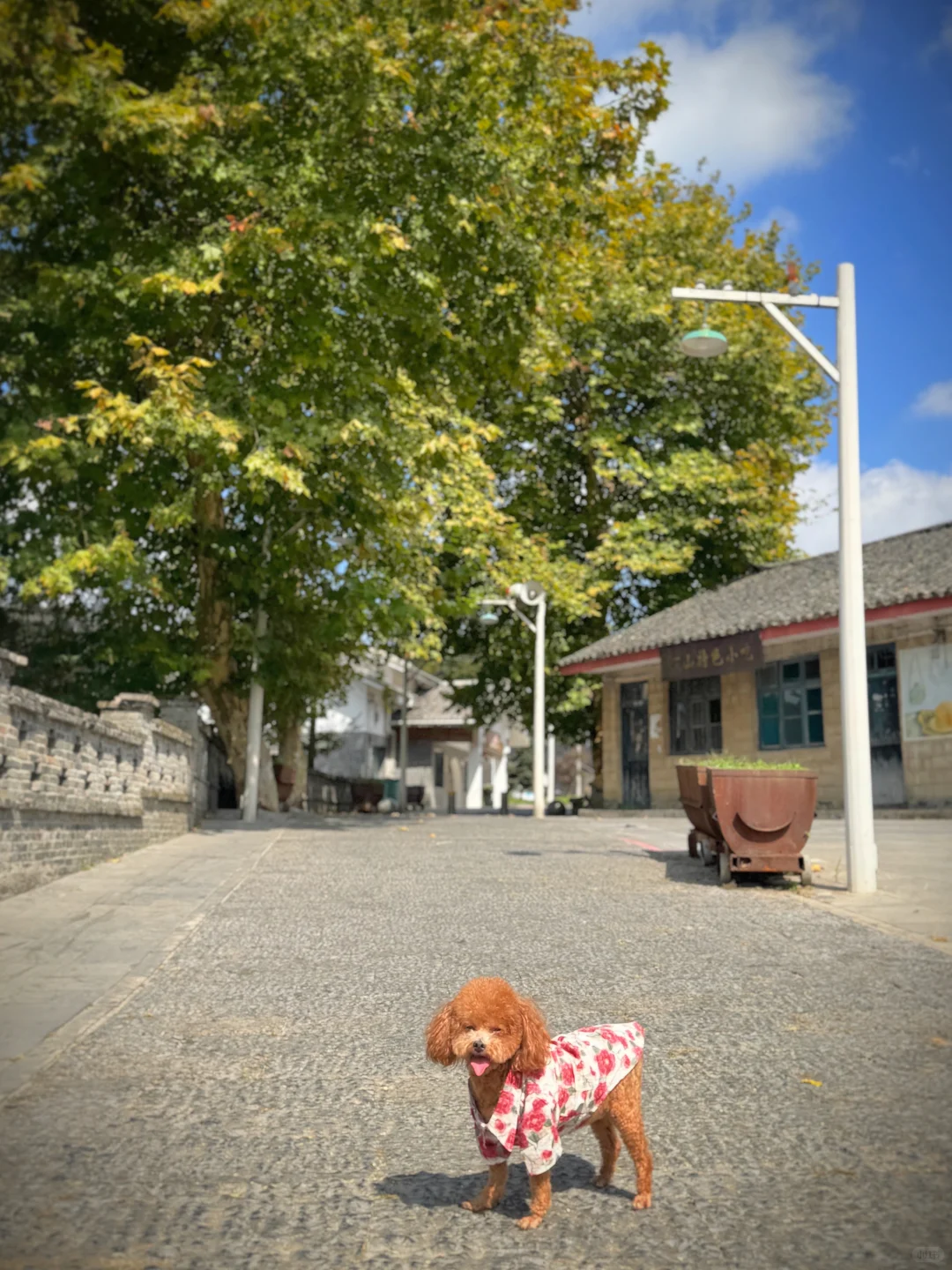 朱砂古镇/仿佛穿越到六七十年代！