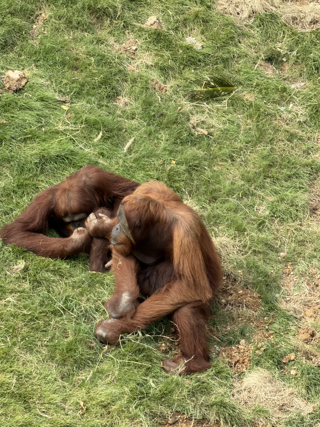中南百草原两天一夜亲子游玩攻略