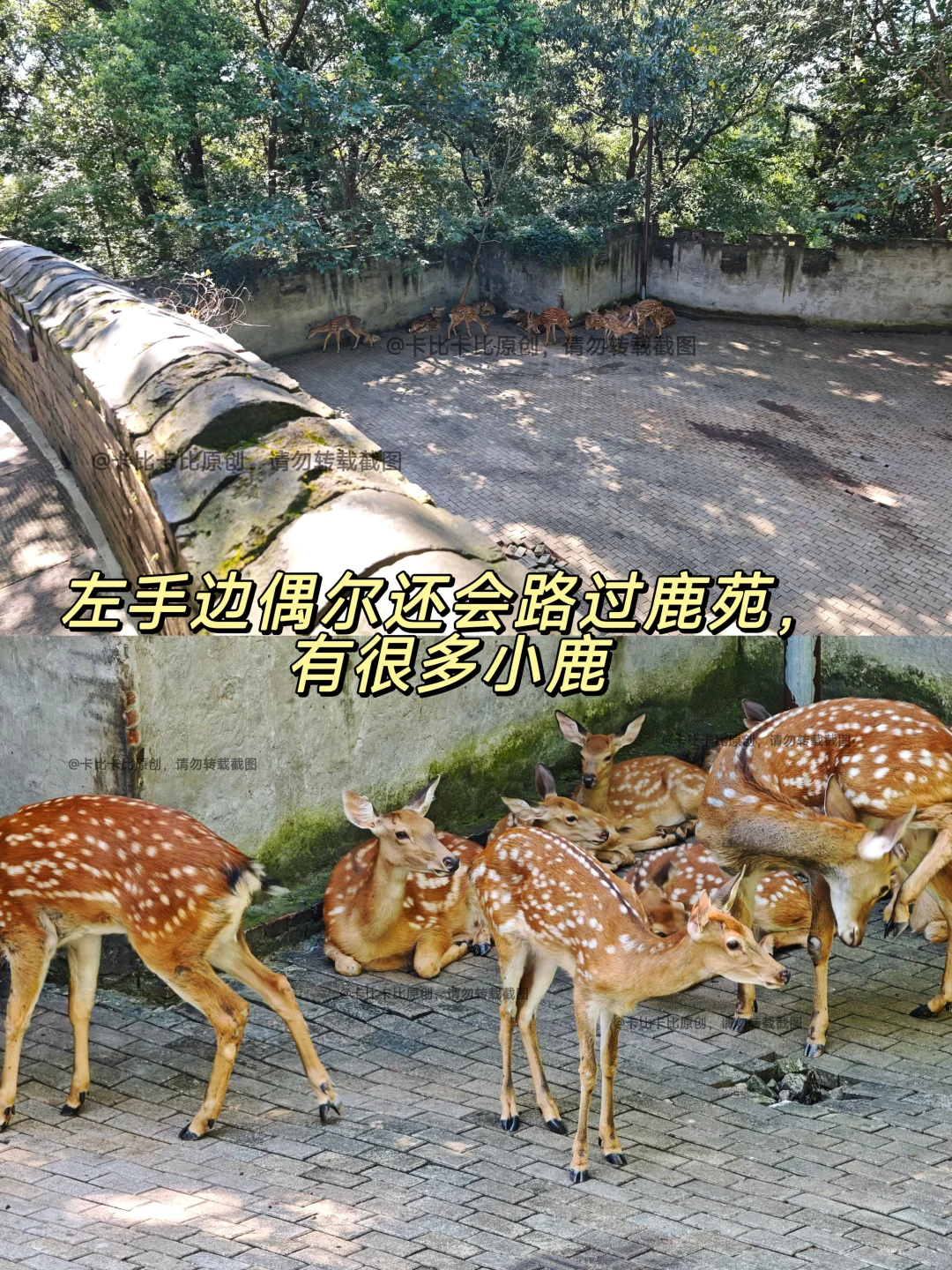 临海台州府城墙 下坡不累路线图文攻略