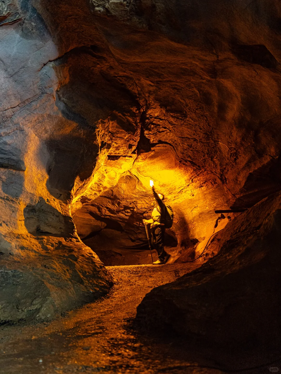 勇敢的人先享受山西的秋天🍂