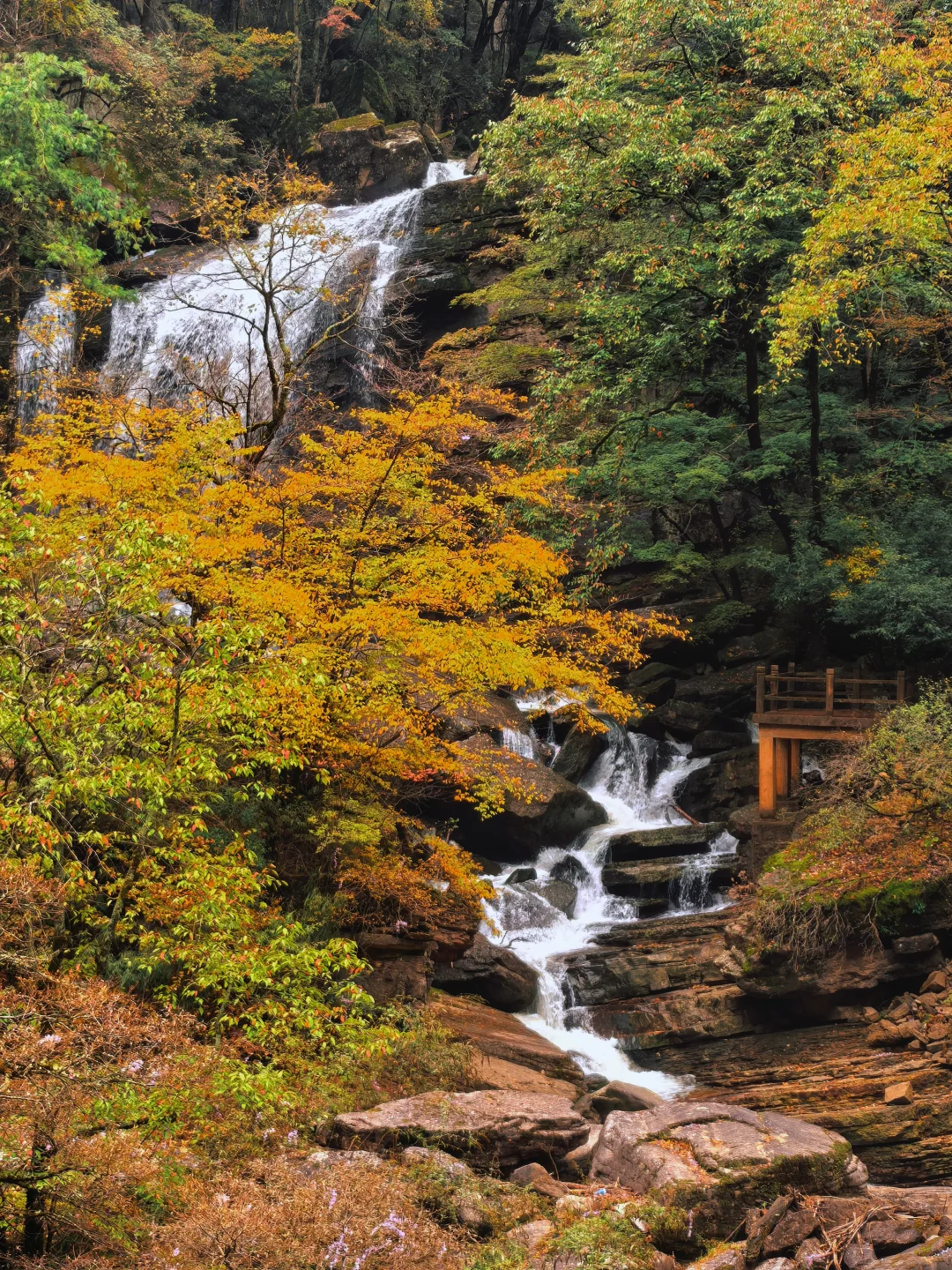 西安周边|不愧陕南小九寨❗低估赏秋天花板