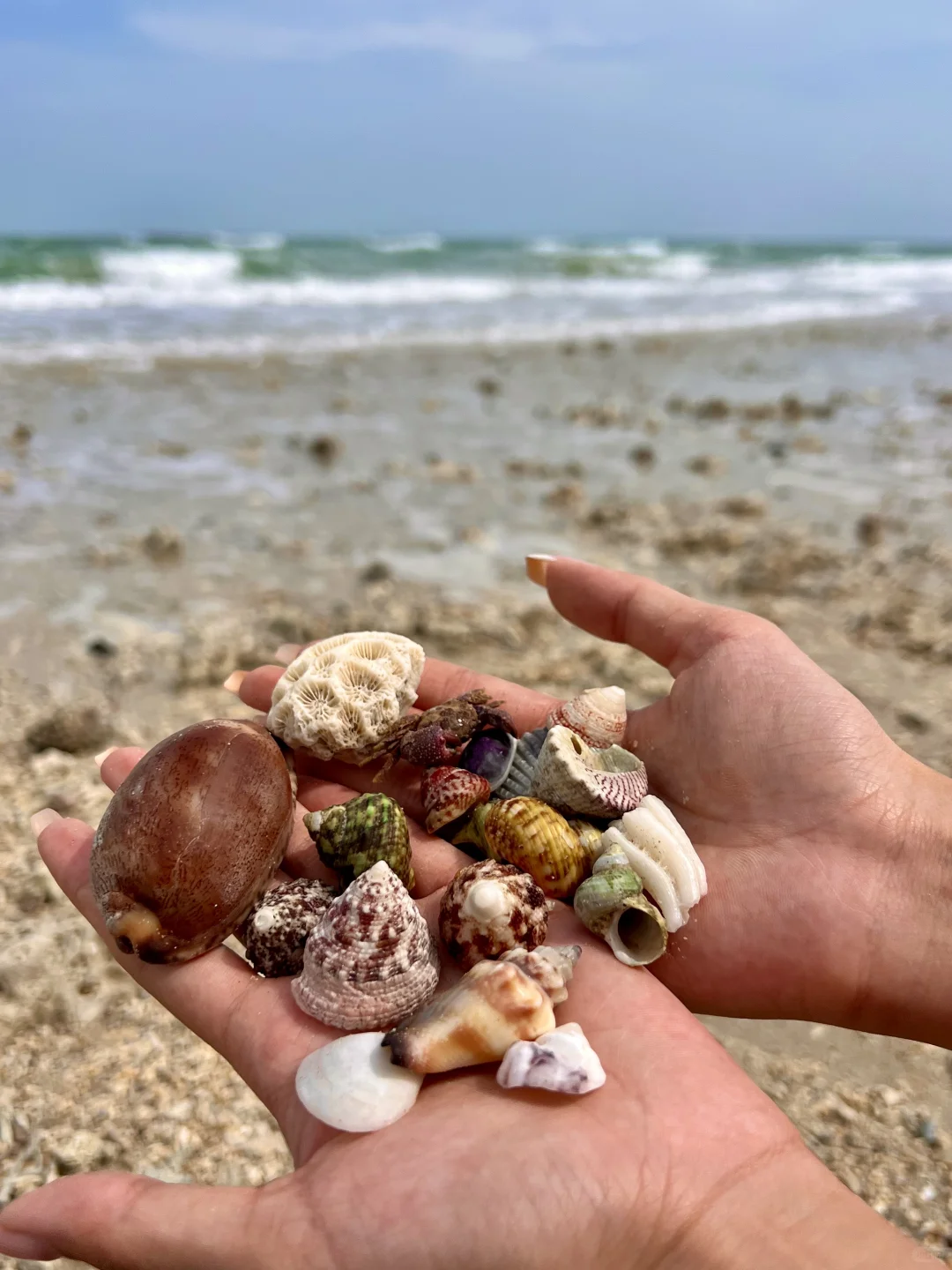 广东人免fei登岛‼️涠洲岛省💰玩法大全🐳