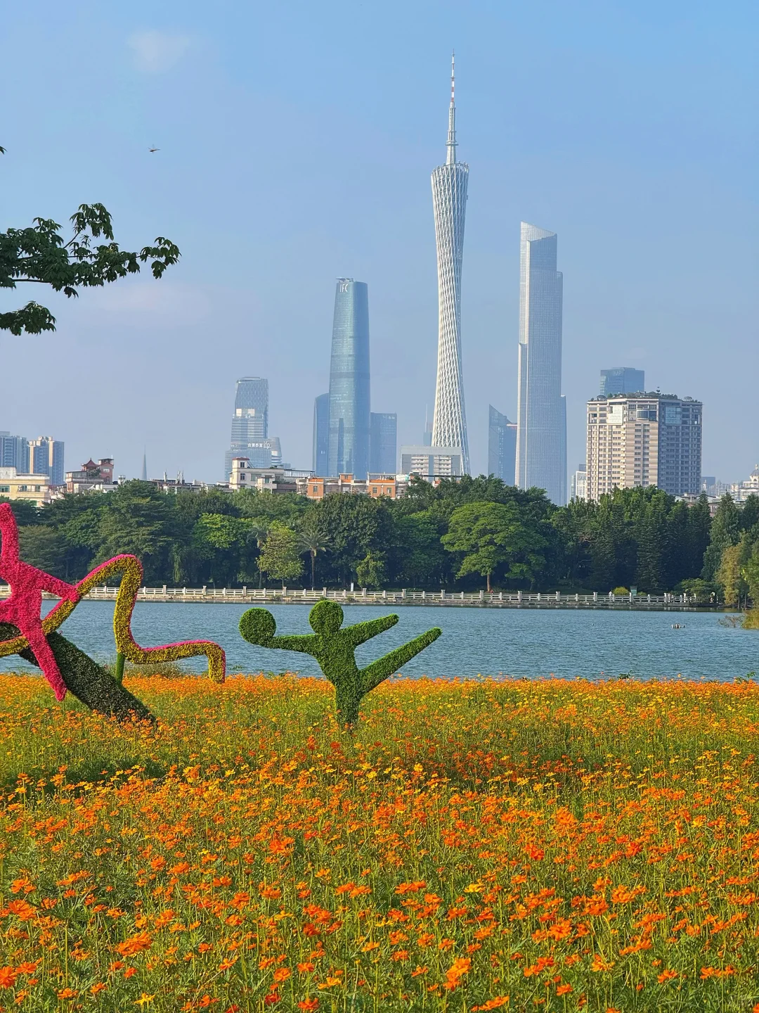 10.19实况～广州秋天🌼是花开成海的金色浪潮