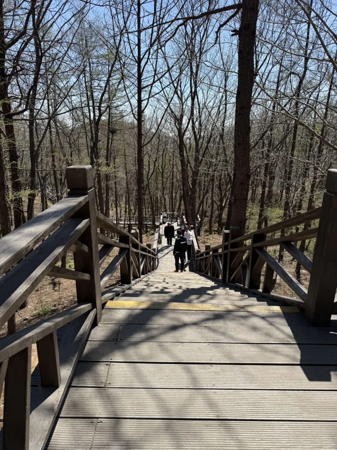 懒人福音！沂蒙山龟蒙景区3h懒瘫玩法⛰️