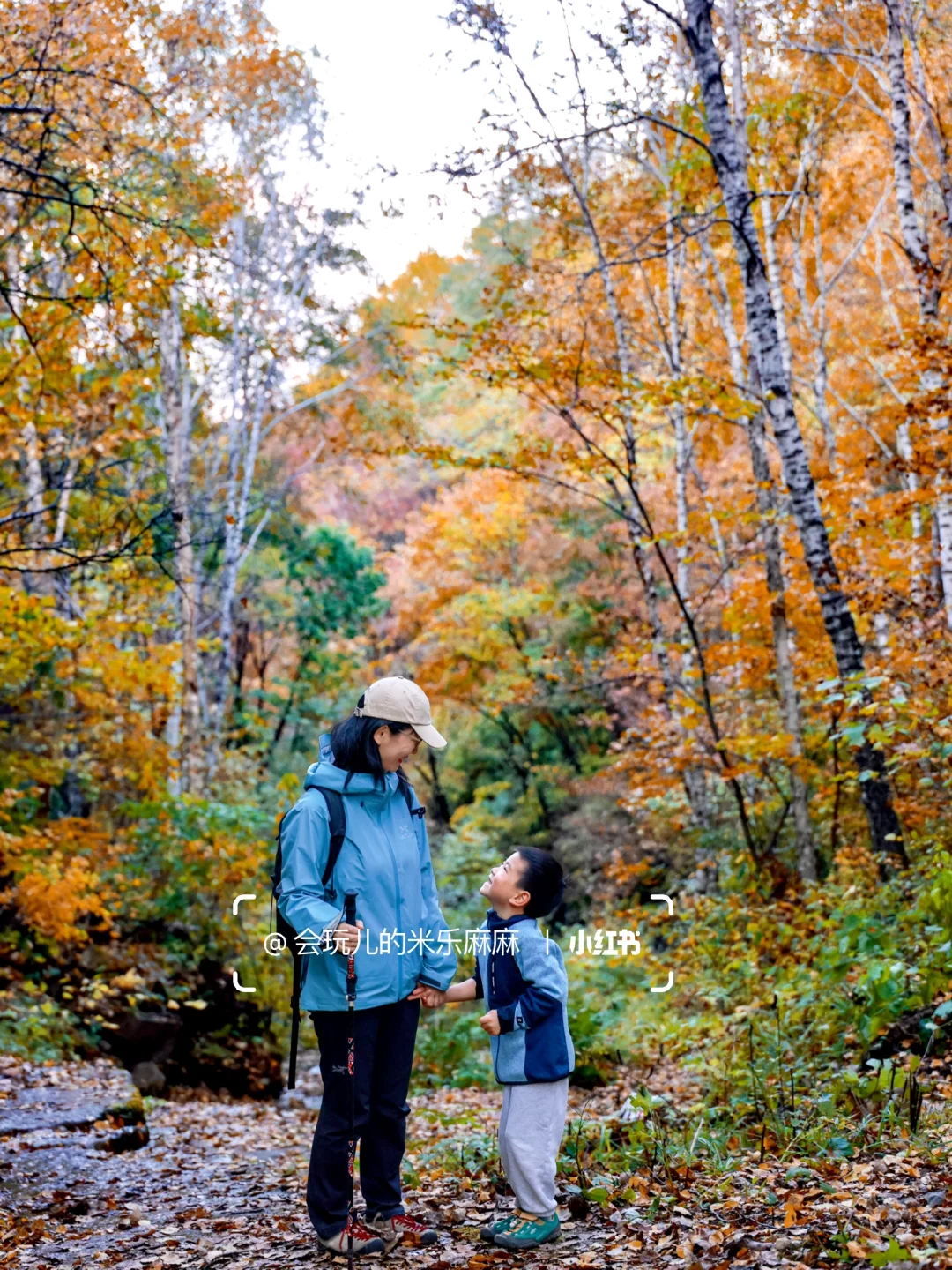 北京这座山已层林尽染🍁关键还没啥人