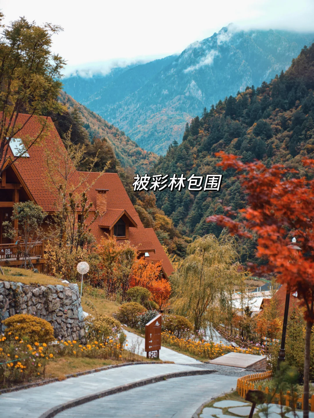 九寨沟即将迎来彩林季🍁真比日本震撼万倍！