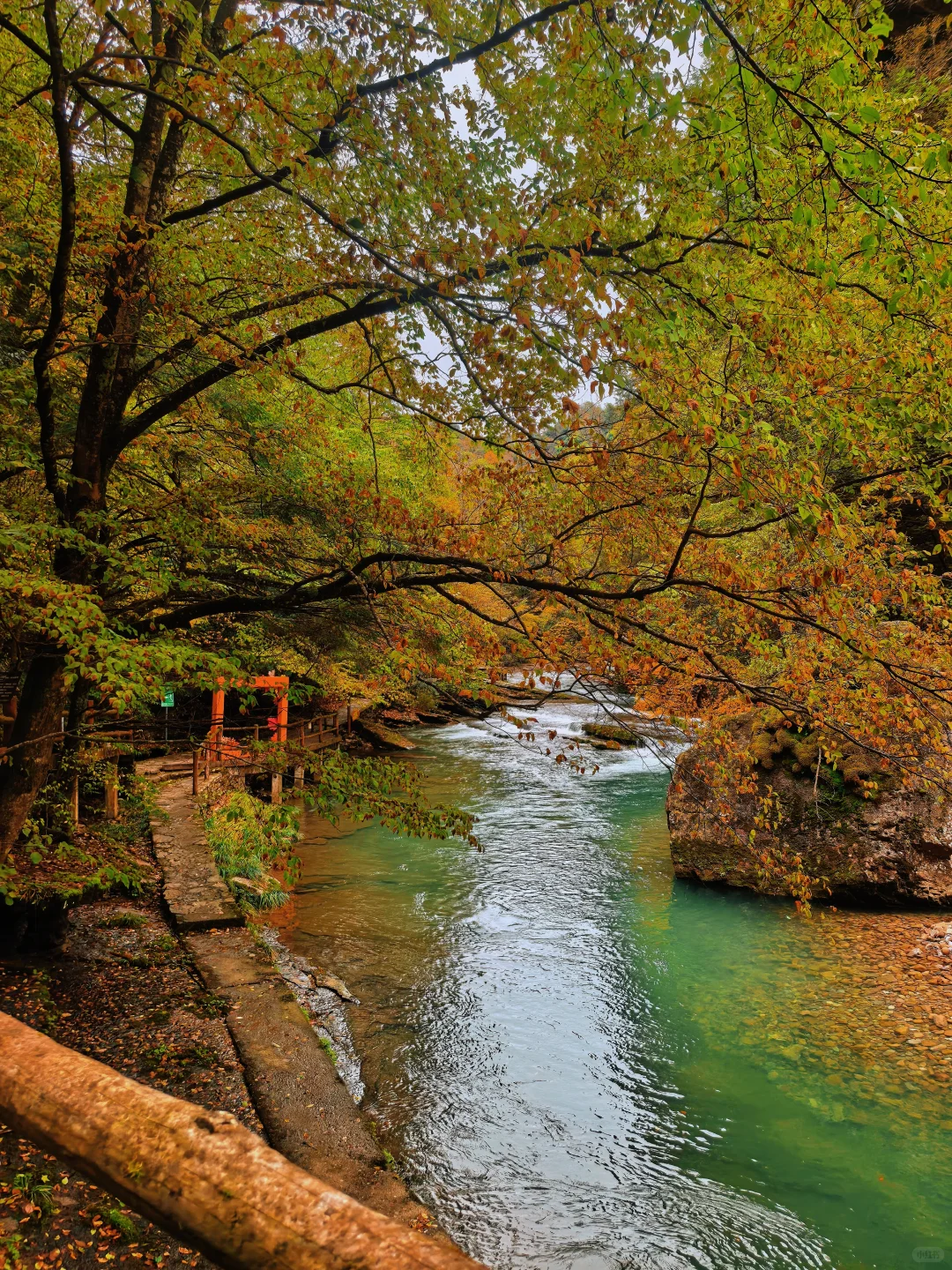 西安周边|不愧陕南小九寨❗低估赏秋天花板